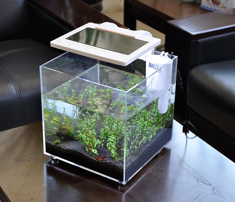 Mini Acrylic (25*25*25cm) Sale - đánh giá và giá Aquarium Fish Sale