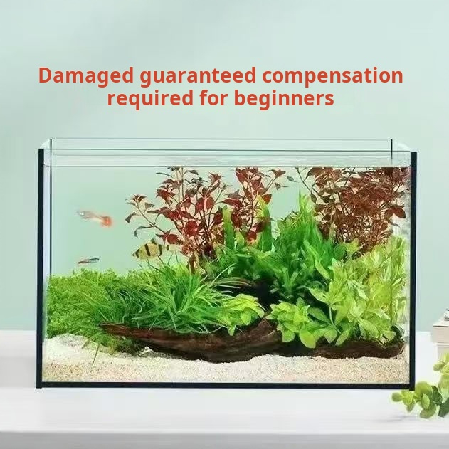 Ultra Clear Large Rectangle Gl - đánh giá và giá Aquarium Fish Keeping