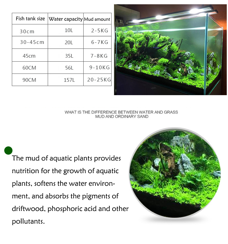 Bể Cá Cảnh Vật Có Hạt Đất Fish - đánh giá và giá Aquarium Fish Quarantine