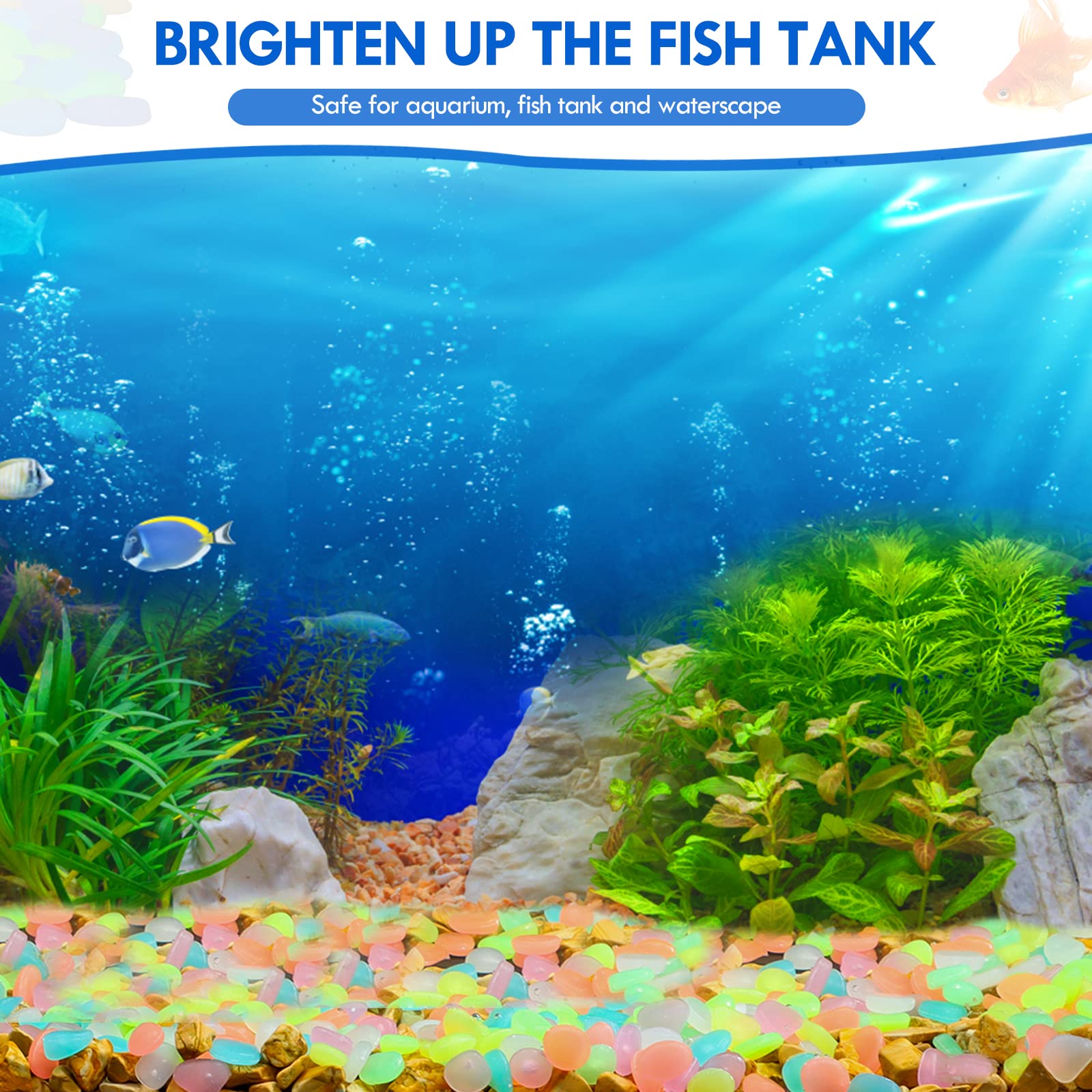 100Pcs Glow in the Dark Garden - đánh giá và giá Aquarium Fish Bowl