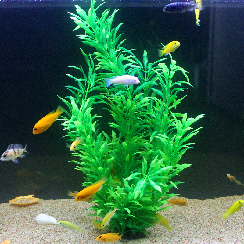 50CM Nhân Tạo Cá Thực Vật Quý  - đánh giá và giá Aquarium Fishing
