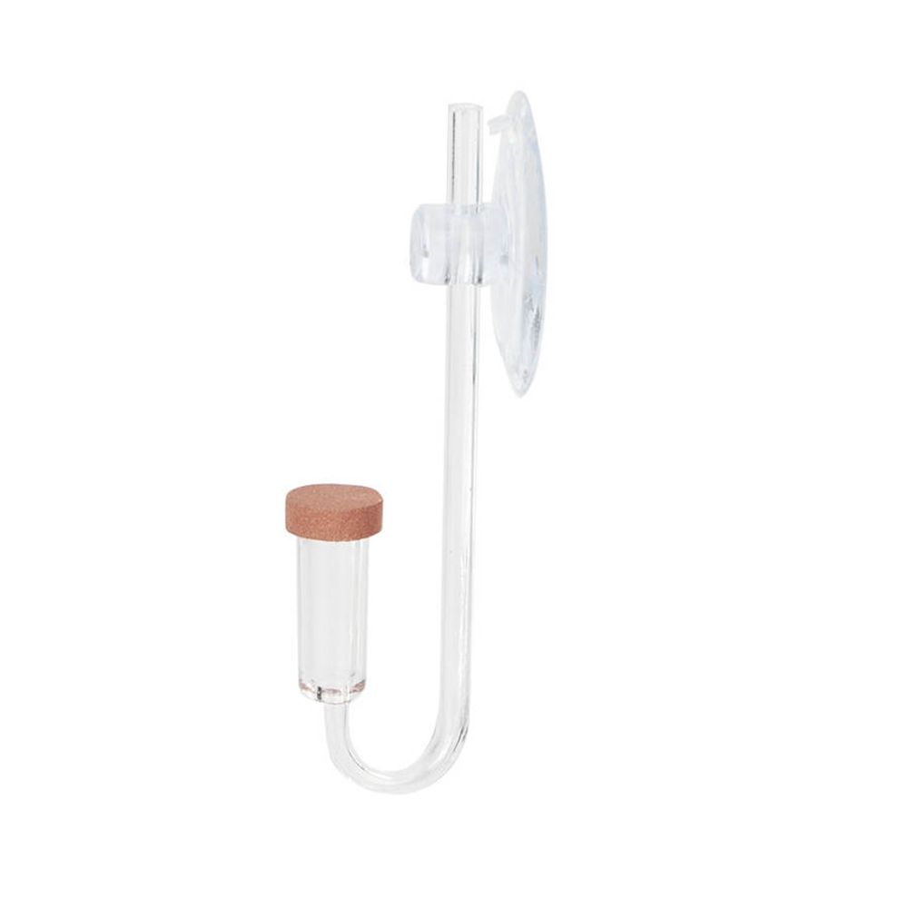Acrylic Mini Fish Tank Live Pl - đánh giá và giá Aquarium Fish Quarantine