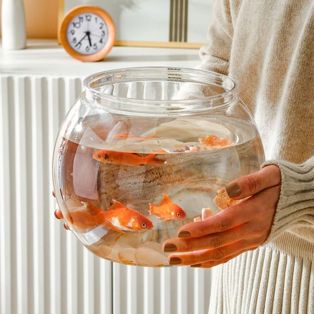 New Transparent Fish Tank Roun - đánh giá và giá Aquarium Fish Names