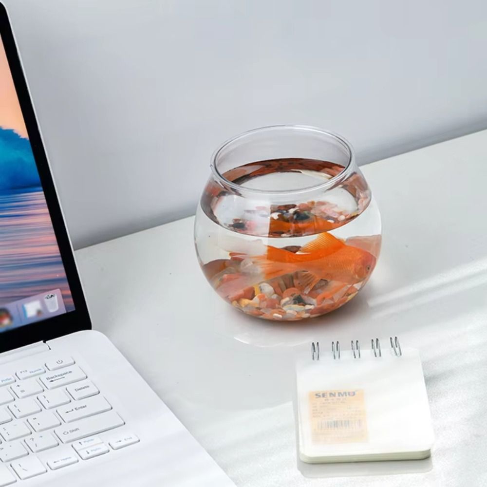 New Transparent Fish Tank Roun - đánh giá và giá Aquarium Fish Names