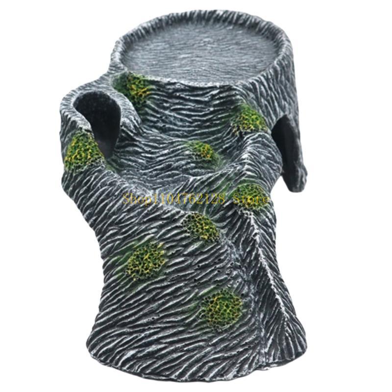 Terrariums Nền tảng phơi nắng  - đánh giá và giá Aquarium Fish Sale