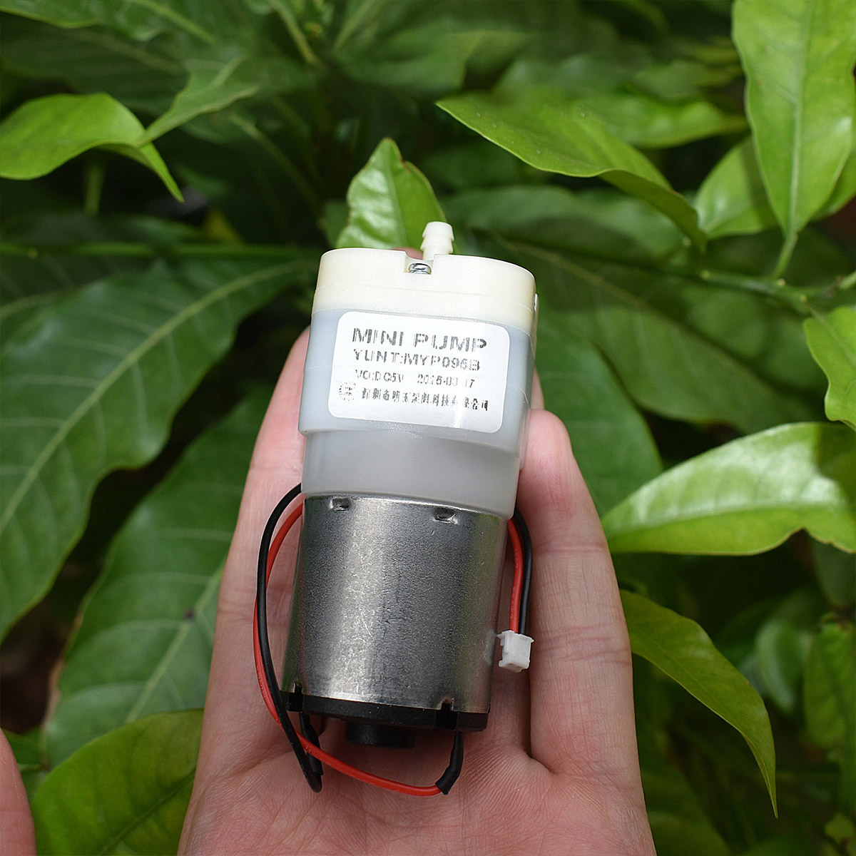Mini 528 Air Pump DC 3.7V 5V 6 - đánh giá và giá Aquarium Fish Big