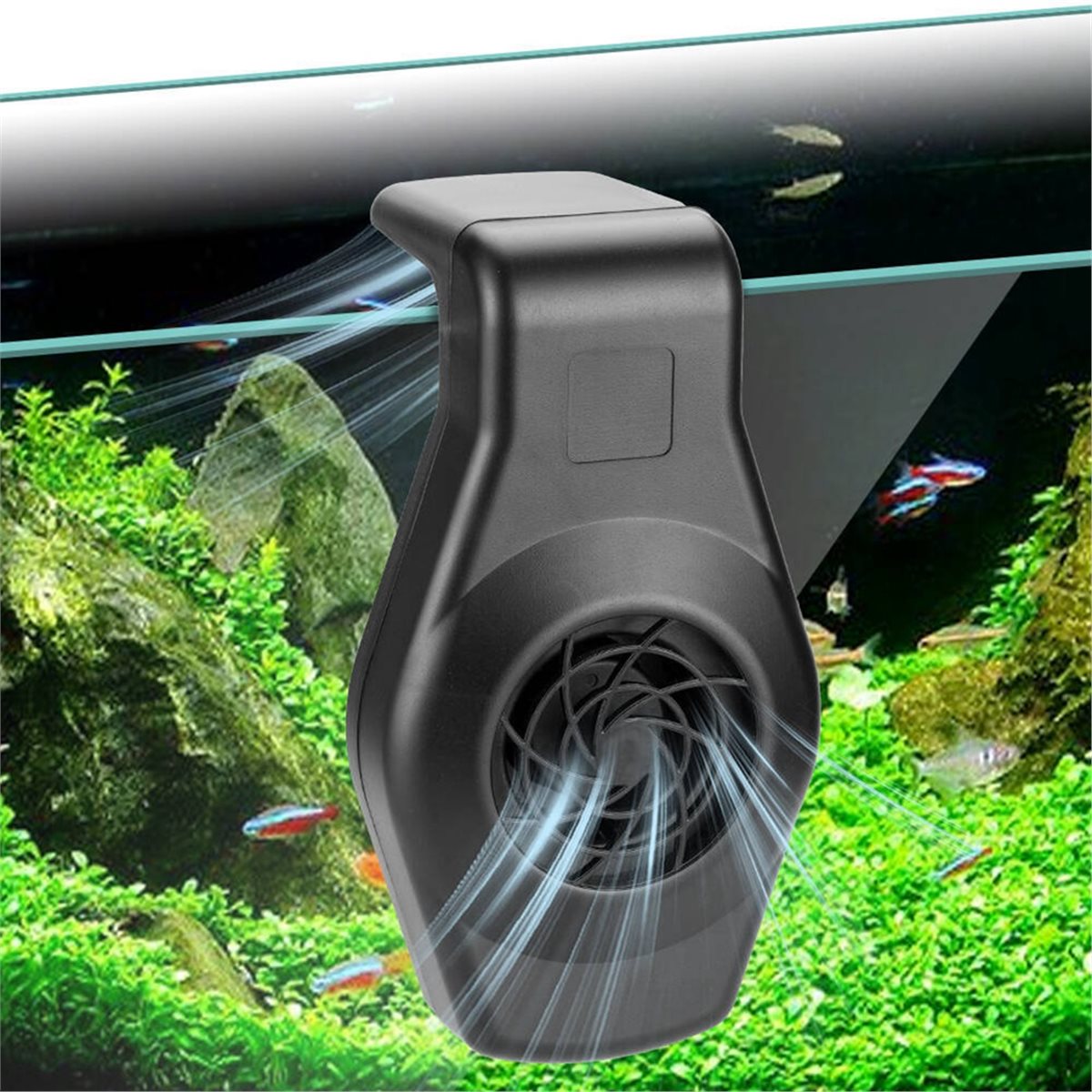 Big Discount Mini Aquarium Chi - đánh giá và giá Aquarium Fish Big