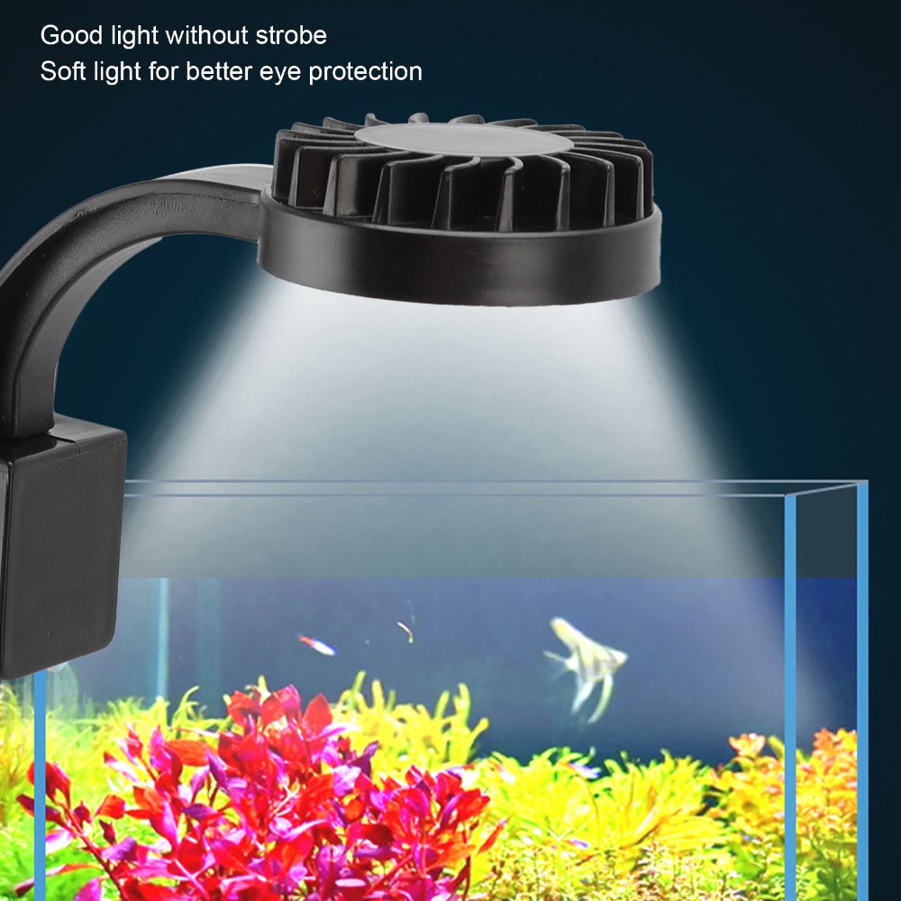 High Brightness LED Fish Tank  - đánh giá và giá Aquarium Fish Keeping