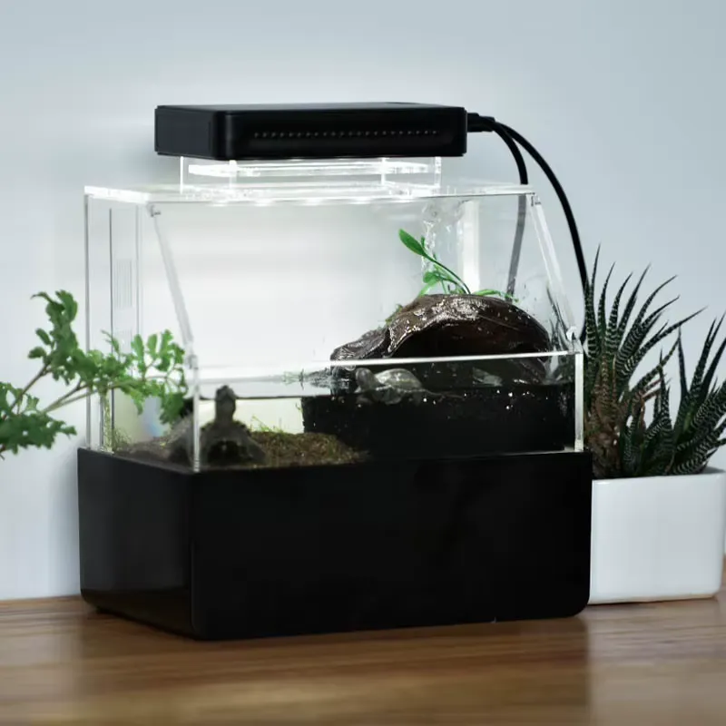 Relaxlines Custom Desktop Aqua - đánh giá và giá Aquarium Fish Sale