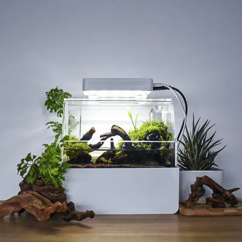 Relaxlines Custom Desktop Aqua - đánh giá và giá Aquarium Fish Sale