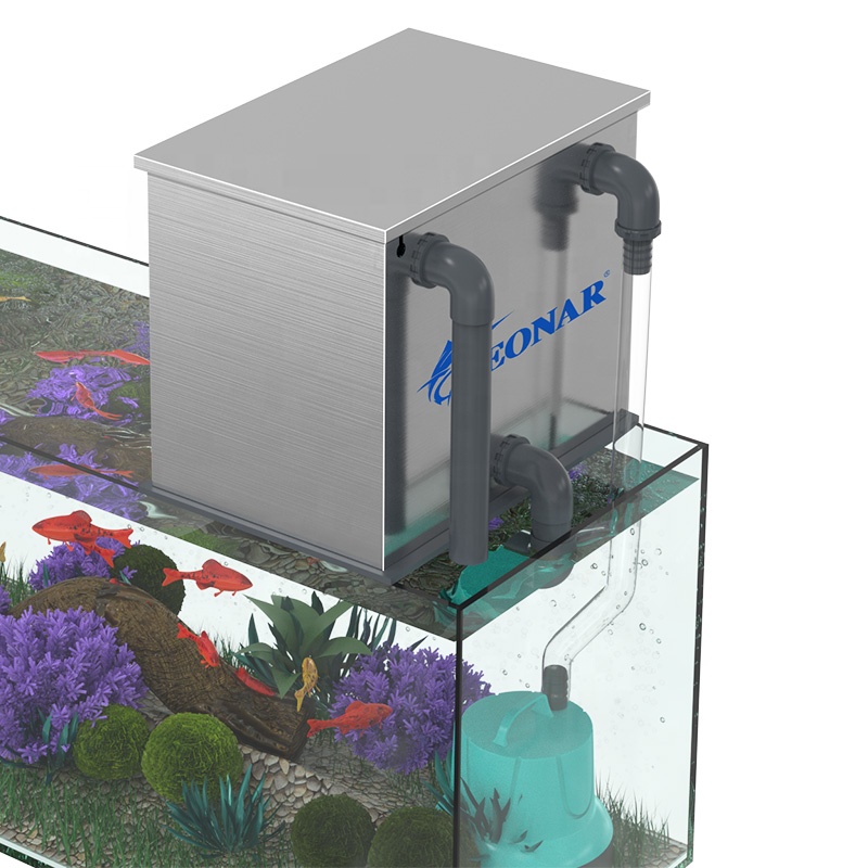 Factory Direct Sales Aquarium  - đánh giá và giá Aquarium Fish Sale