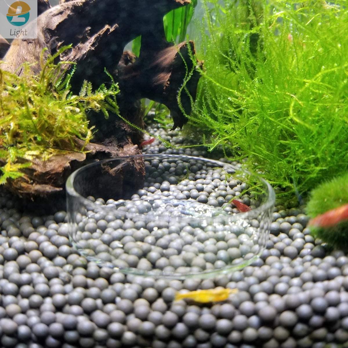 Hồ Cá Ăn Bát Món Ăn Trong Suốt - đánh giá và giá Aquarium Fish Keeping