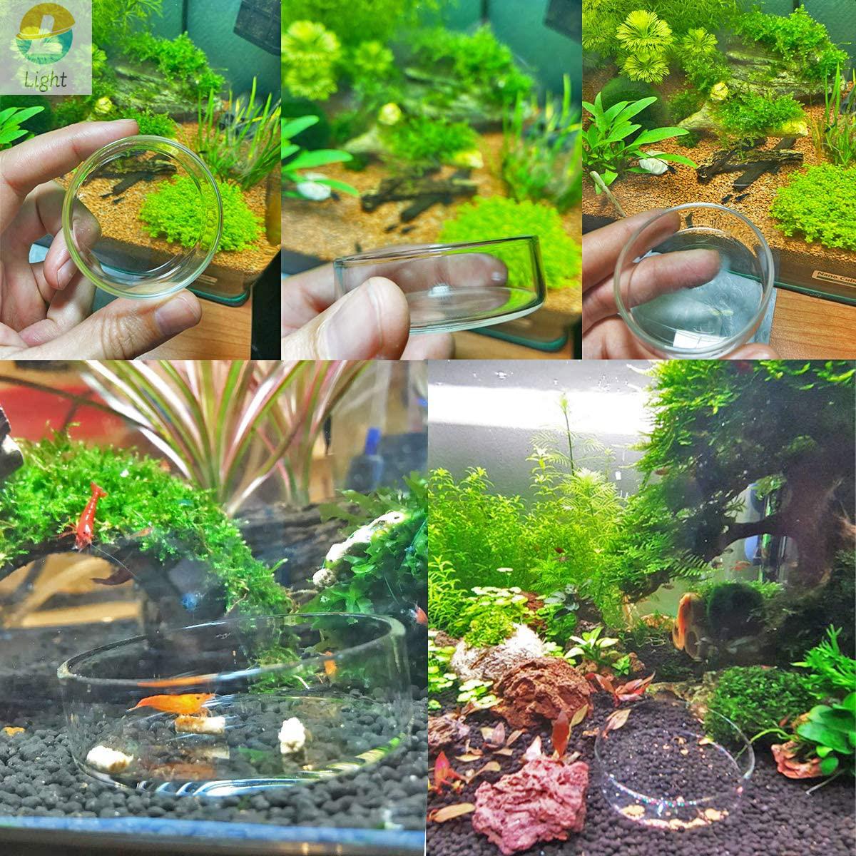 Hồ Cá Ăn Bát Món Ăn Trong Suốt - đánh giá và giá Aquarium Fish Keeping